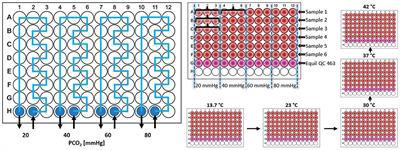 Effects of Carbon Dioxide and Temperature on the Oxygen-Hemoglobin Dissociation Curve of Human Blood: Implications for Avalanche Victims